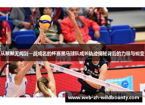 从默默无闻到一战成名的杯赛黑马球队成长轨迹揭秘背后的力量与蜕变