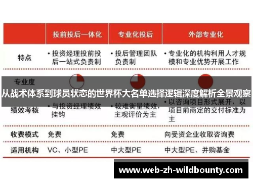 从战术体系到球员状态的世界杯大名单选择逻辑深度解析全景观察